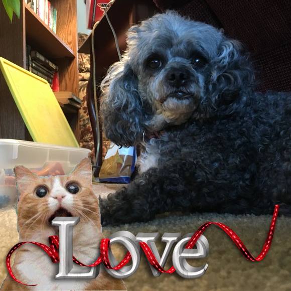 Meet your Posher, Daniel - Picture 1 of 1